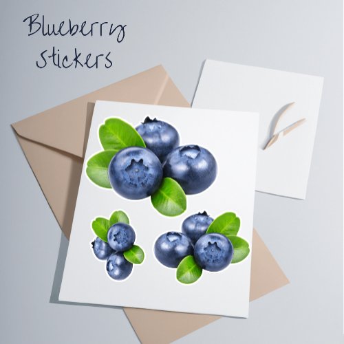 Berry BlissBlueberries Contour Kiss_Cut Vinyl  Sticker