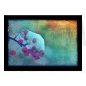 Berry Cold (Front Horizontal)