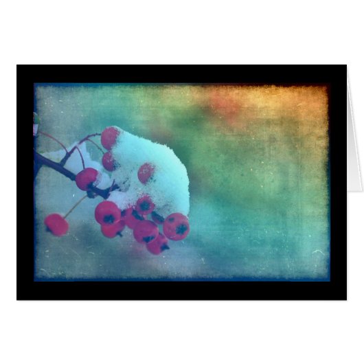 Berry Cold (Front Horizontal)