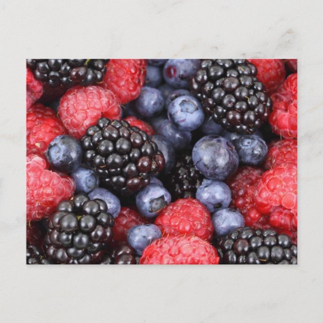 Berry Salad Postcard (Front)