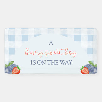 Berry Sweet Boy Baby Shower Banner