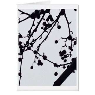 Berry Tree Against the Sky Cards