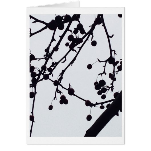 Berry Tree Against the Sky Cards (Front)
