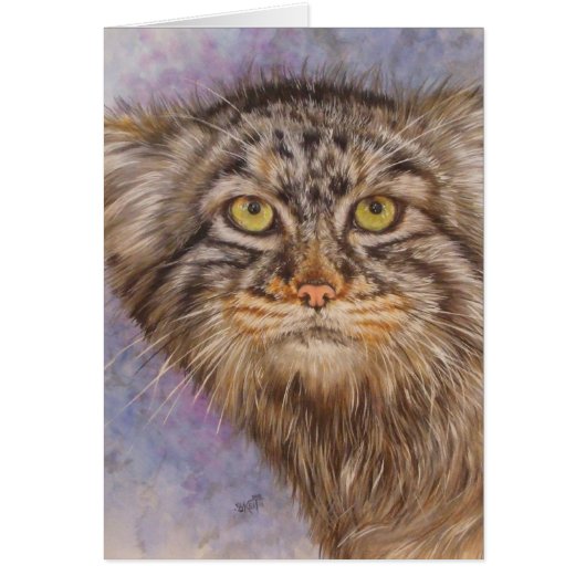 Berry's Pallas Cat Cards (Front)