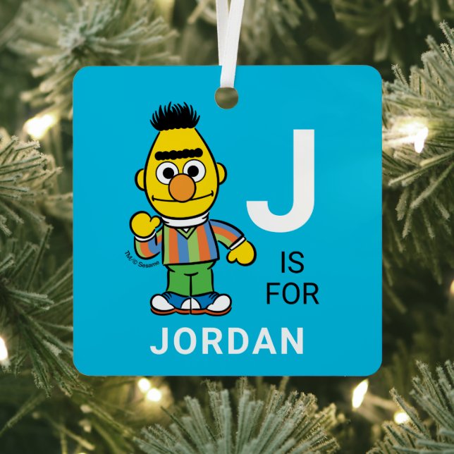 Bert | Personalized Name with Photo Metal Ornament (Insitu)
