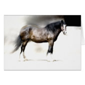 BERTHA Biggest SHIRE HORSE (Front Horizontal)