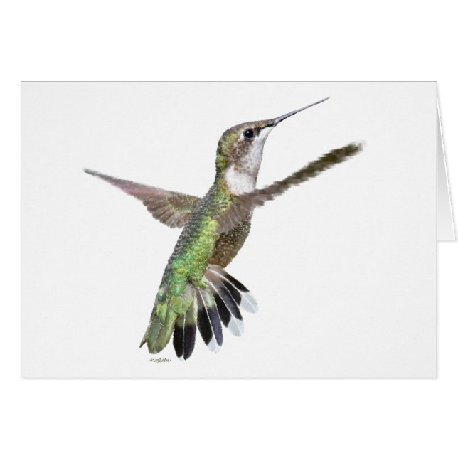 Berylline Hummingbird Painting Cards (Front Horizontal)