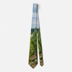 Beside A Corn Field Neck Tie
