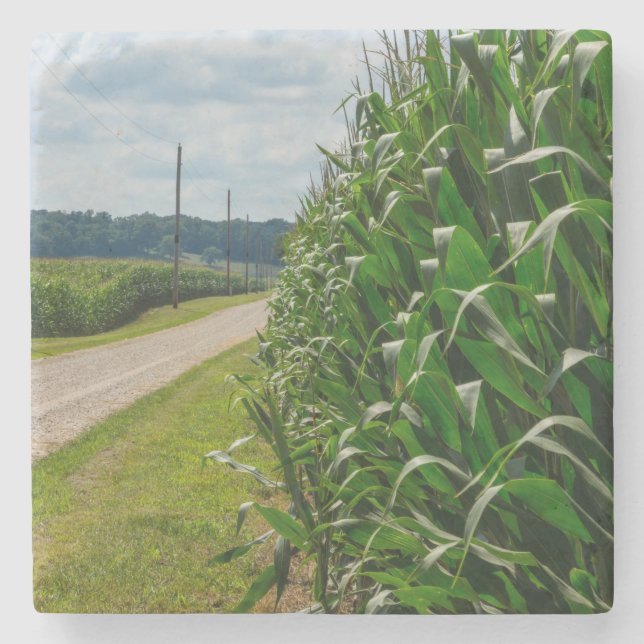 Beside A Corn Field Stone Coaster (Front)