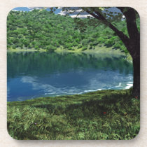 Beside Deep Waters Cork Coaster