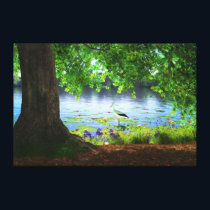 Beside the Still Water Canvas Print