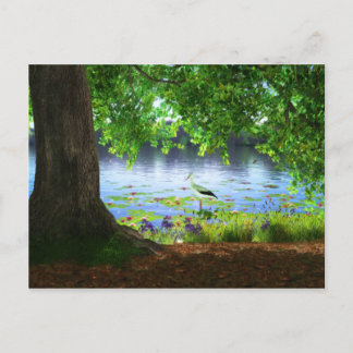 Beside the Still Water Postcard