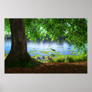 Beside the Still Water Print