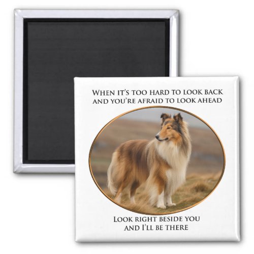 Beside You Collie Magnet