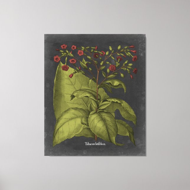 Besler Dramatique I Canvas Print (Front)