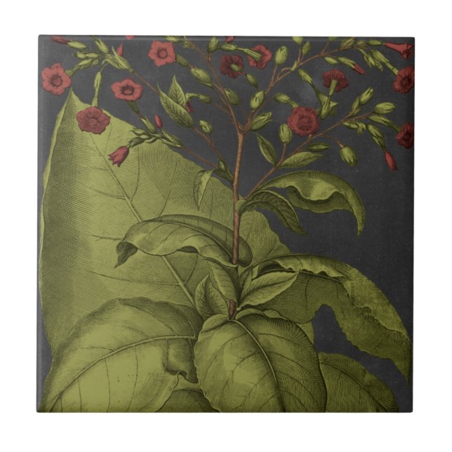 Besler Dramatique I Ceramic Tile (Front)