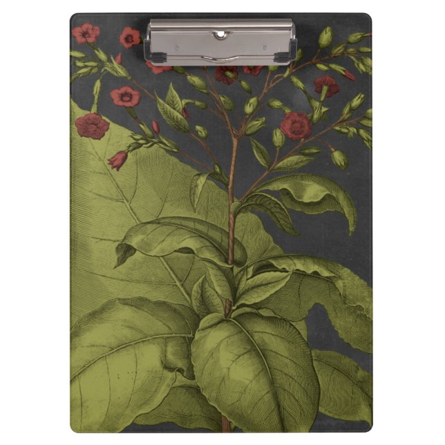 Besler Dramatique I Clipboard (Front)