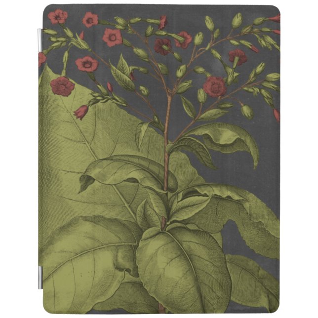 Besler Dramatique I iPad Smart Cover (Front)