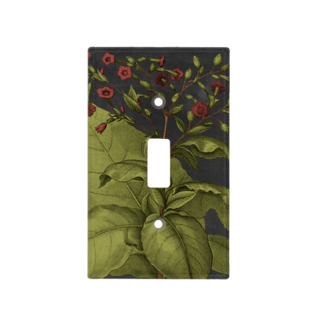 Besler Dramatique I Light Switch Cover (Front)