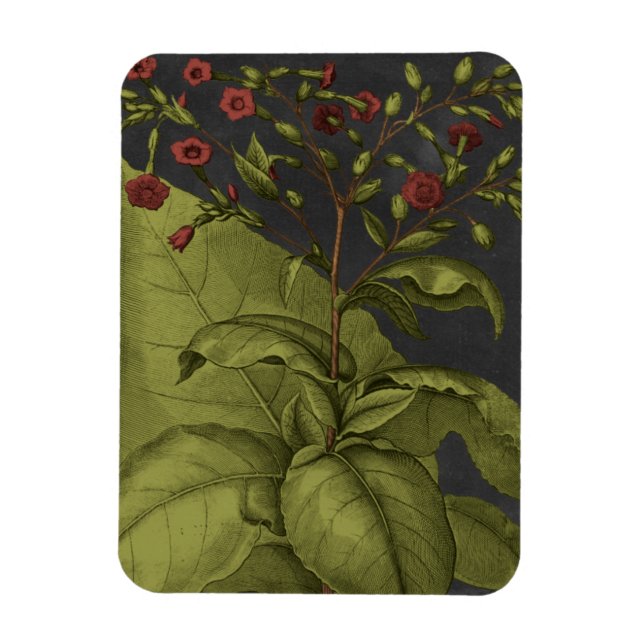 Besler Dramatique I Magnet (Vertical)