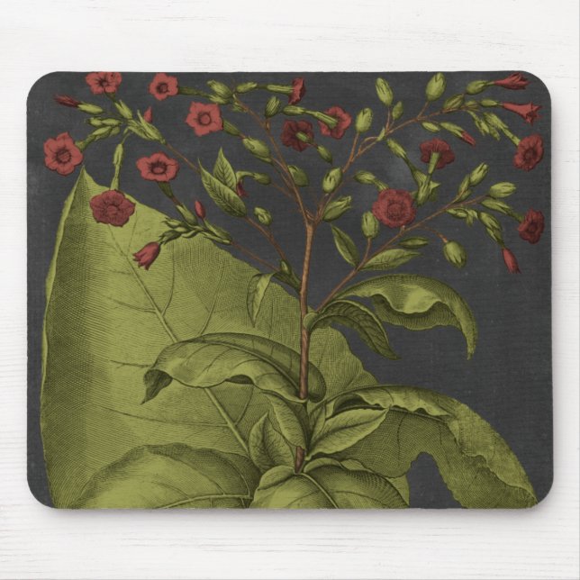 Besler Dramatique I Mouse Pad (Front)