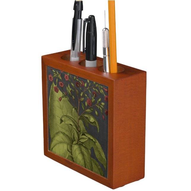 Besler Dramatique I Pencil/Pen Holder (In Situ)