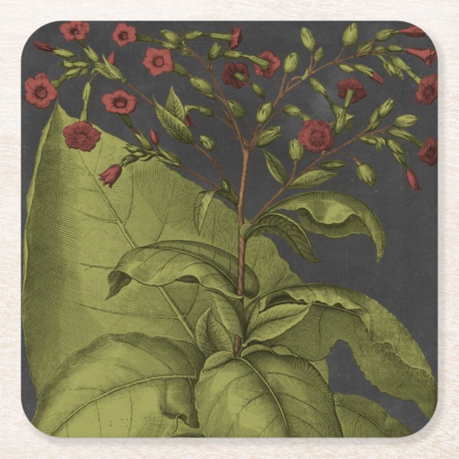 Besler Dramatique I Square Paper Coaster (Front)