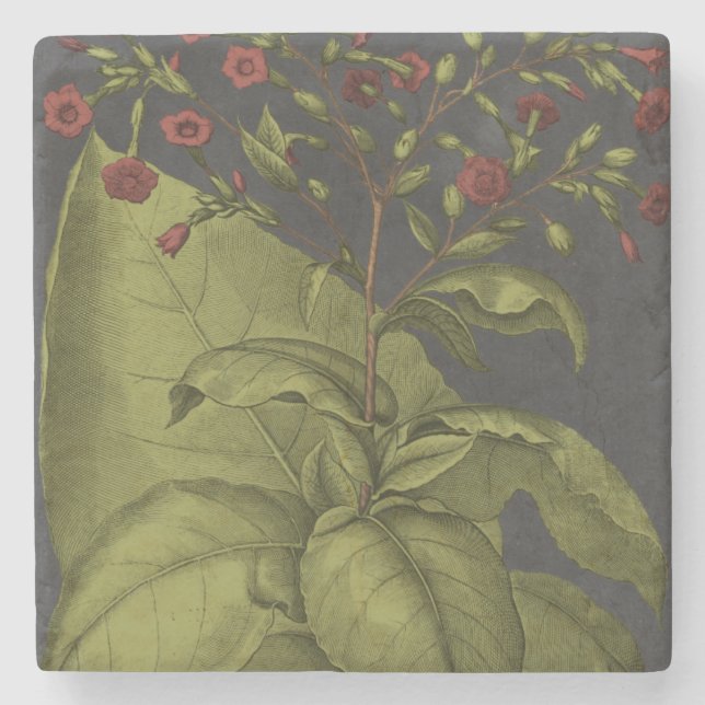 Besler Dramatique I Stone Coaster (Front)