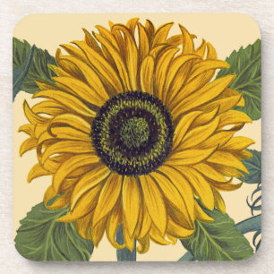 Besler: Sunflower Beverage Coaster