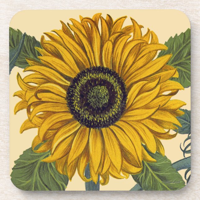 Besler: Sunflower Beverage Coaster (Front)