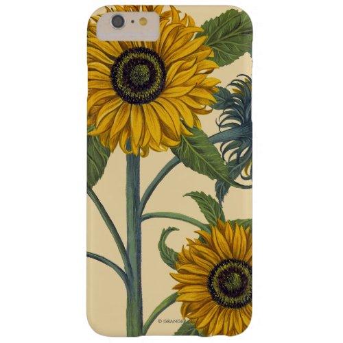 Besler Sunflower Barely There iPhone 6 Plus Case