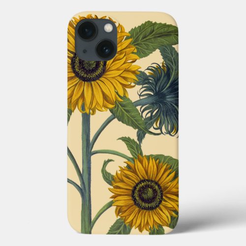 Besler Sunflower iPhone 13 Case