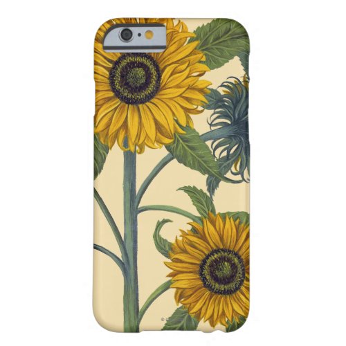 Besler Sunflower Barely There iPhone 6 Case