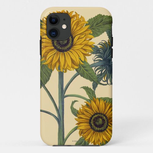 Besler Sunflower iPhone 11 Case