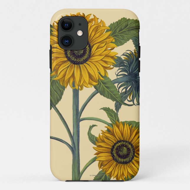 Besler: Sunflower Case-Mate iPhone Case (Back)