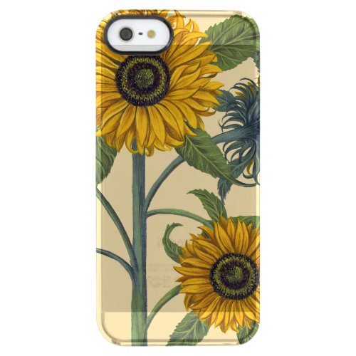 Besler Sunflower Clear iPhone SE55s Case