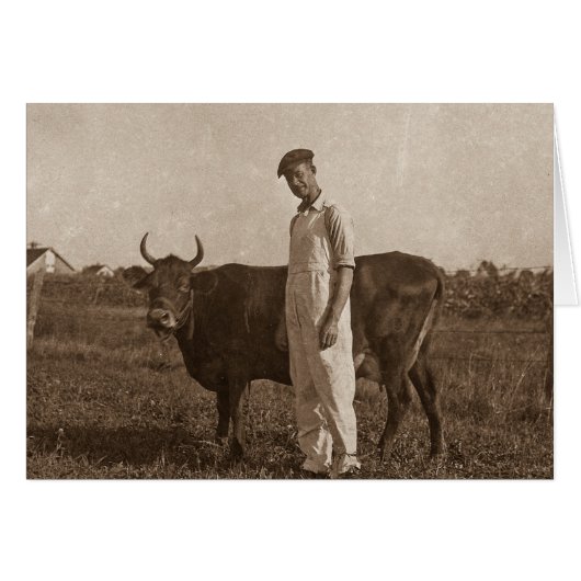 Bessie the Cow Cards (Front Horizontal)