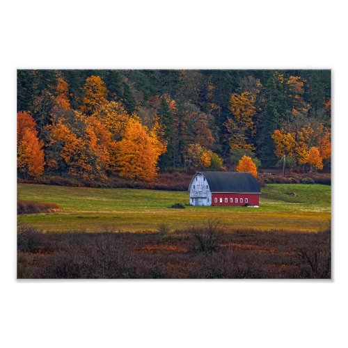 Bessner Barn Guemes Island  Photo Print