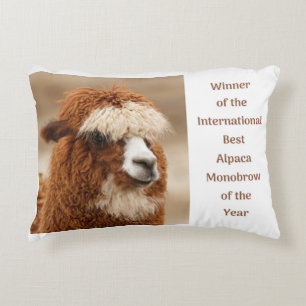 Best Alpaca Monobrow Accent Pillow