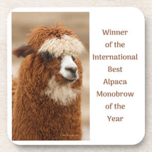 Best Alpaca Monobrow Beverage Coaster