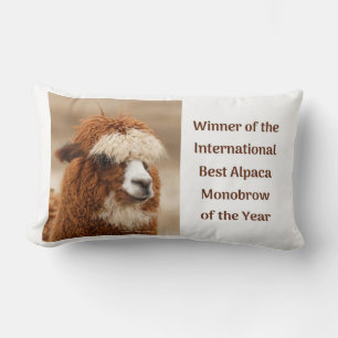Best Alpaca Monobrow Lumbar Pillow