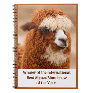 Best Alpaca Monobrow Notebook