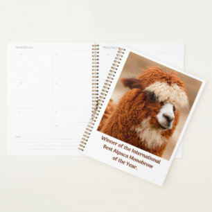 Best Alpaca Monobrow Planner