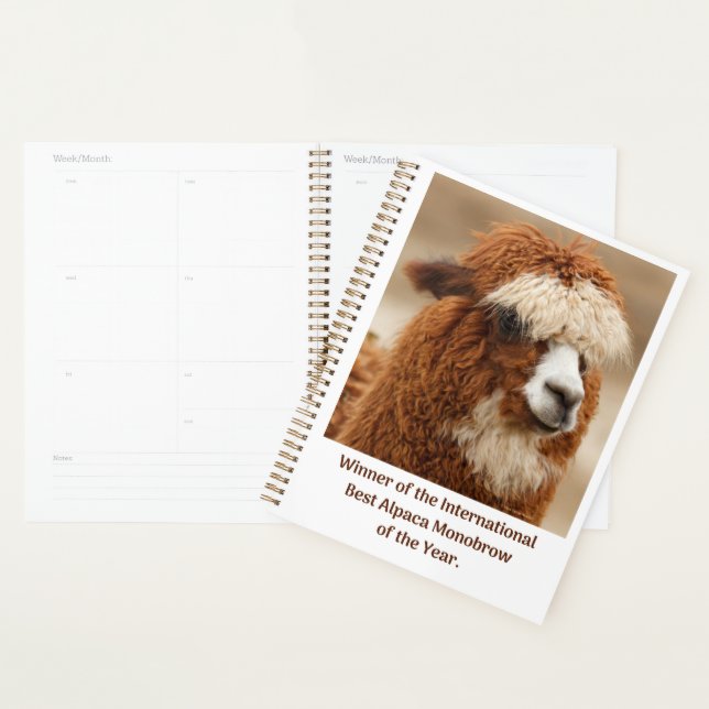 Best Alpaca Monobrow Planner (Display)