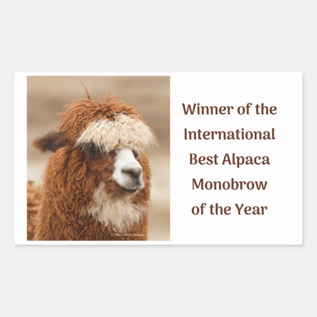 Best Alpaca Monobrow Rectangular Sticker (Front)