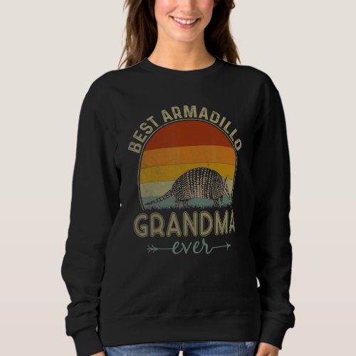 Best Armadillo Grandma Ever Retro  Mothers Day Sweatshirt