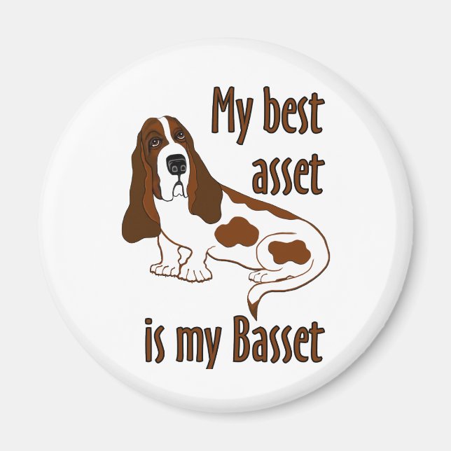 Best Asset Basset Hound Dog Funny Quote Magnet (Front)