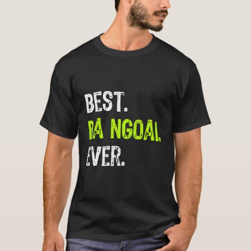 Best Ba Ngoai Ever Vietnamese Grandma T_Shirt