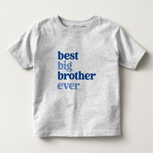 Best Big Brother Ever Gray with Blue Text Boy Toddler T_shirt