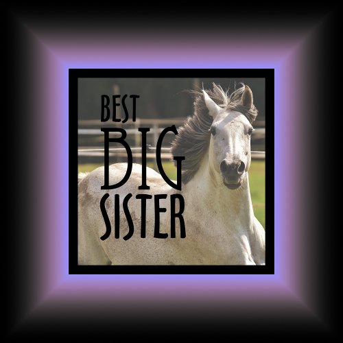 Best Big Sister Horse Poster